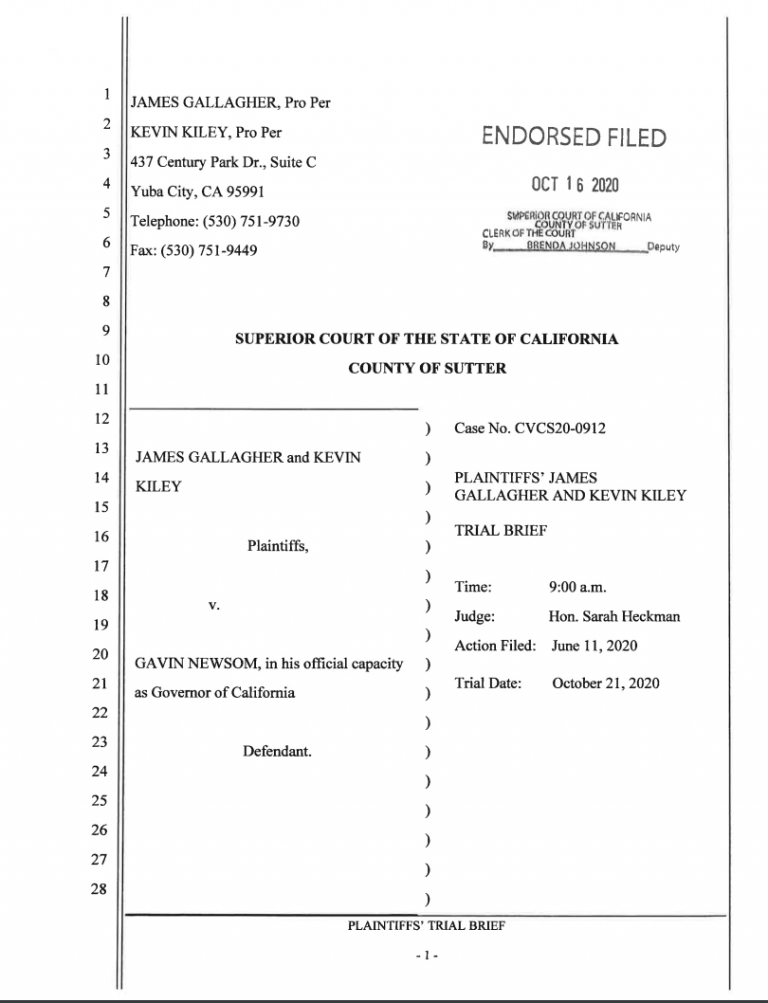 Briefs in Gallagher and Kiley v. Newsom Capitol Quagmire